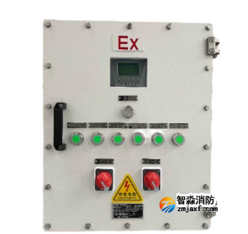 海灣HW-D-AC(DC36V/0.5kVA)-XN50L-Ex應(yīng)急照明集中電源